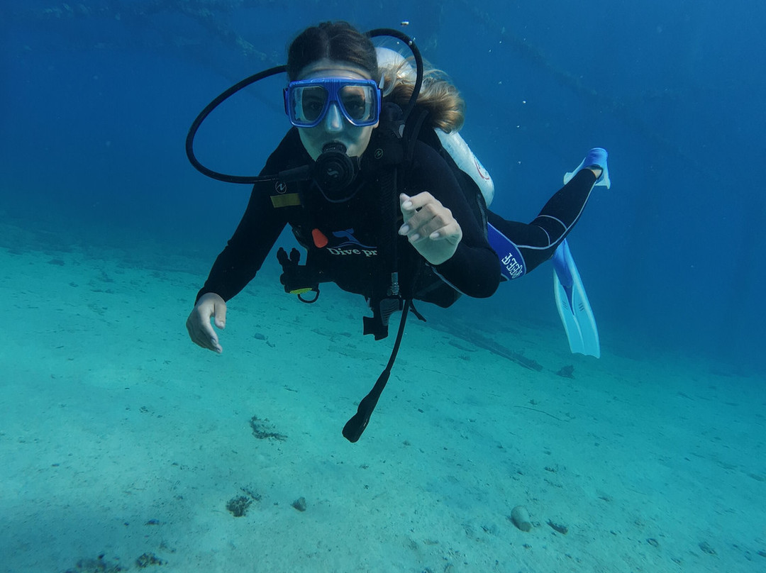 Dive with Luka-赫尔格达必去景点