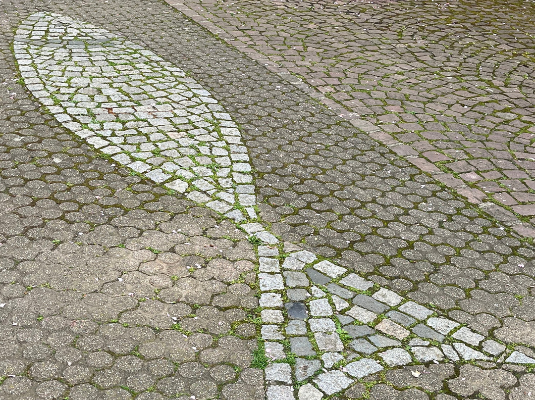 Vieille Ville-塞勒斯塔必去景点