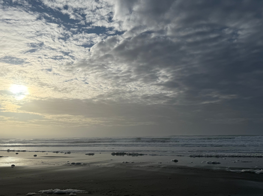 The Coho Oceanfront Lodge主图