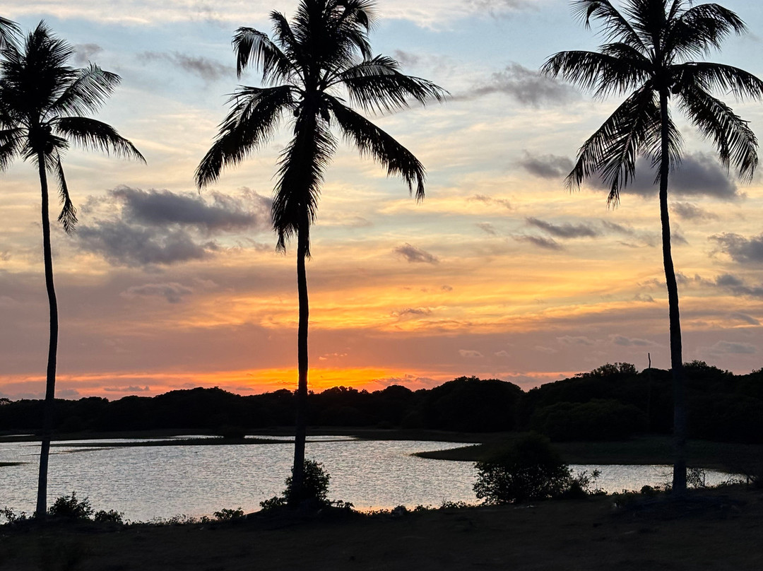 Farol da Foz Ecoturismo-Piacabucu必去景点