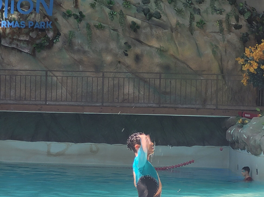 Acquamotion-格拉玛多必去景点