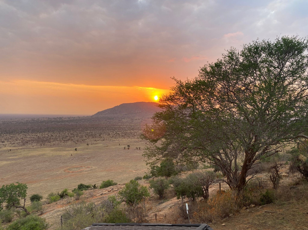 Jawamu Tours and Safaris-Kilifi必去景点