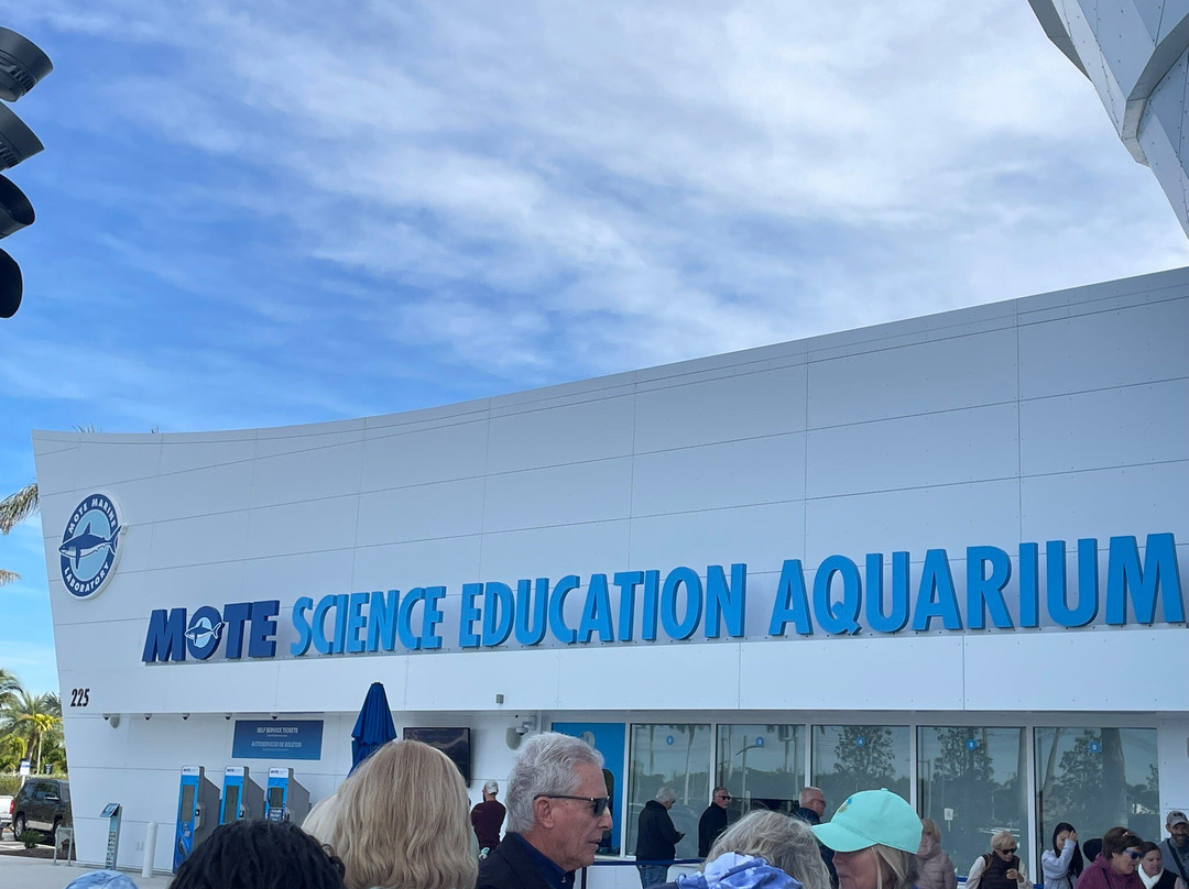 Mote Marine Laboratory & Aquarium-萨拉索塔必去景点