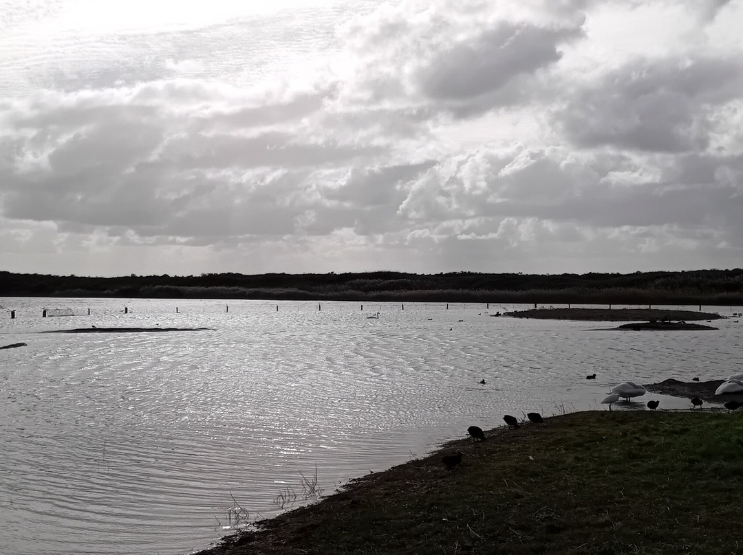 Parc du Marquenterre-Saint-Quentin-en-Tourmont必去景点