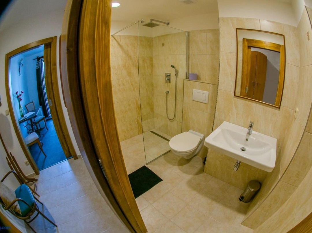 Hotel Panský dům主图