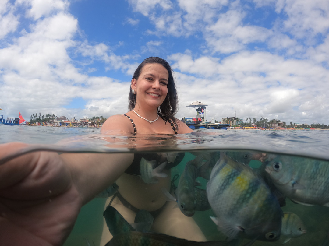 Aquatic Center Escola de Mergulho-嘎林海斯港必去景点