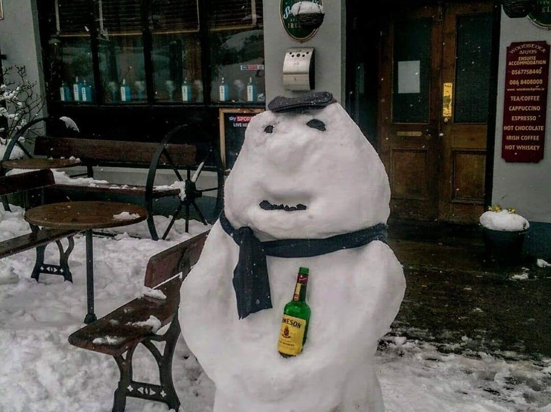 St Mullins酒店住宿-Woodstock Arms Bed & Breakfast Bar