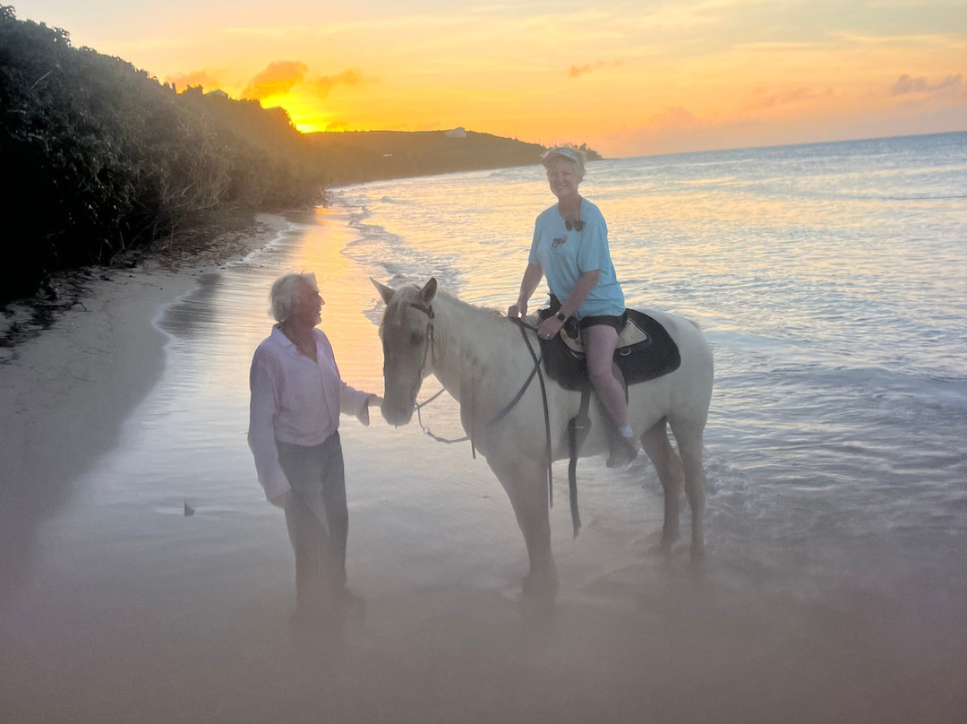 Equus Rides Horseback Riding St. Croix-Frederiksted必去景点
