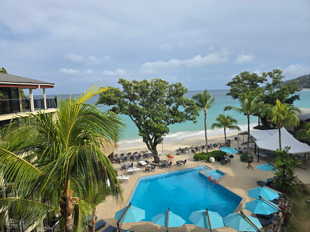 珊瑚斯特兰德明智选择主图