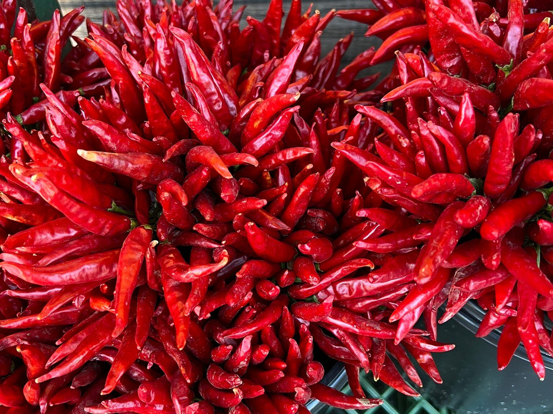 Monterey Market-伯克利必去景点