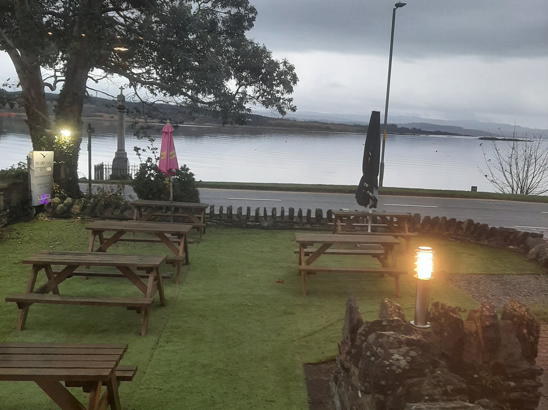 The Grey Gull Hotel主图