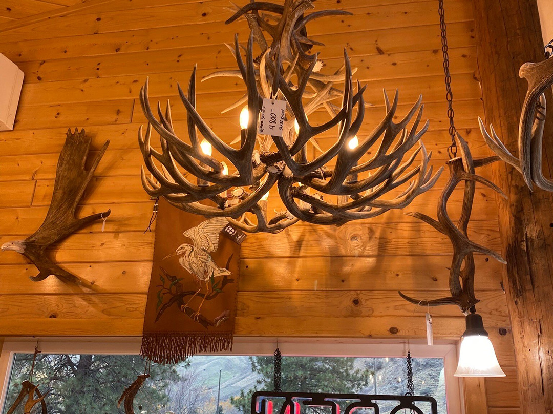 Unique Antler Design Wildlife Gallery-Riggins必去景点