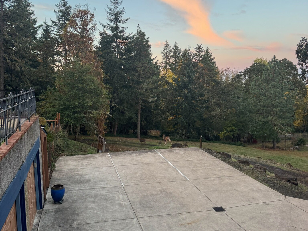 Mount Tom House主图