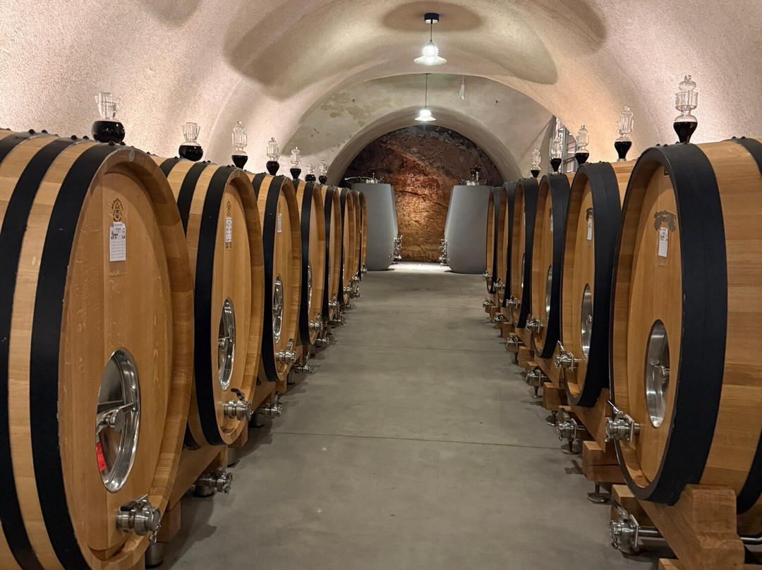 Hamel-索诺玛必去景点