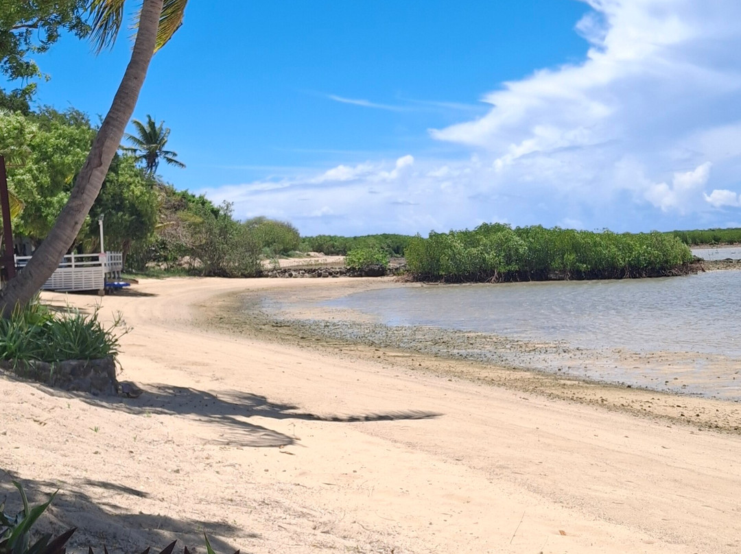 Landers Bay Resort & Spa Fiji主图