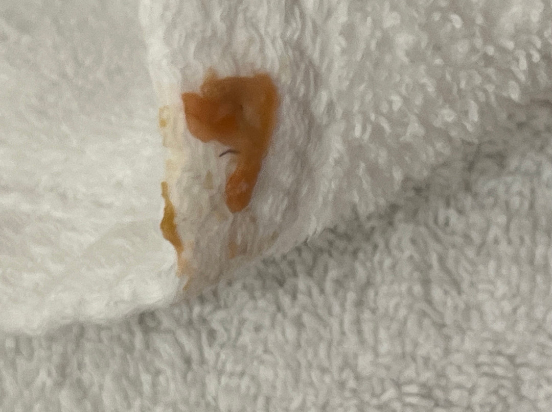 Holiday Inn Express & Suites Salem By IHG主图