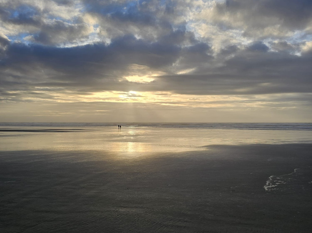 Otter Crest Marine Gardens-Otter Rock必去景点