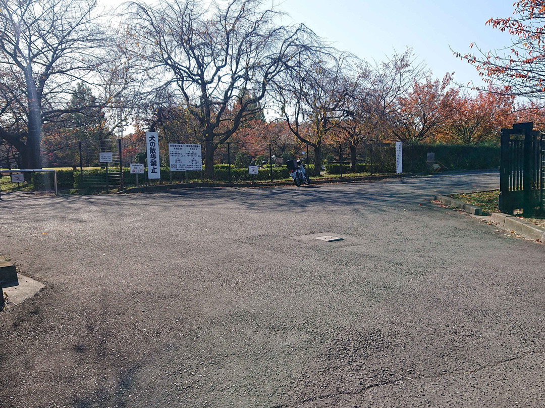 Omiya Hana no Oka Norin Park-埼玉市必去景点