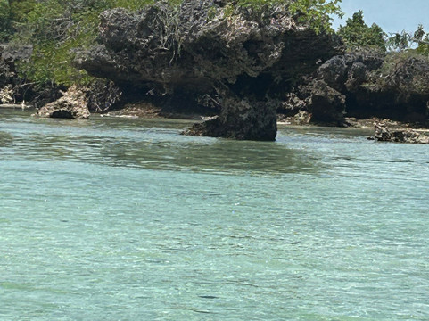 Choum Tours & Safari-桑给巴尔岛必去景点