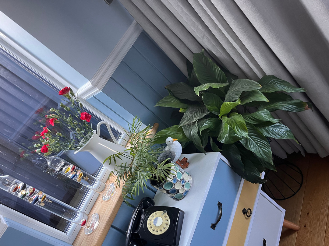 Brits Love Vintage Interiors-惠茨特布尔必去景点