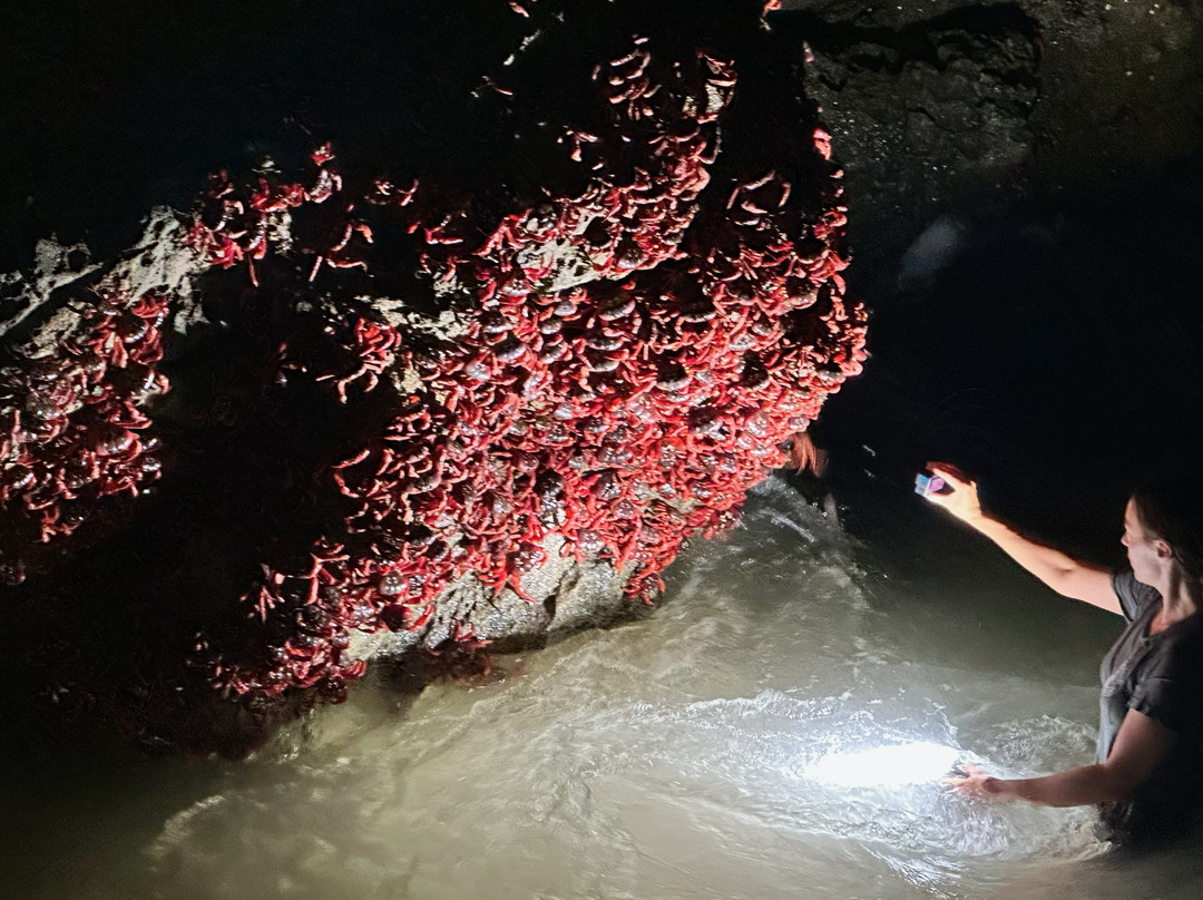 Indian Ocean Experiences-圣诞岛必去景点