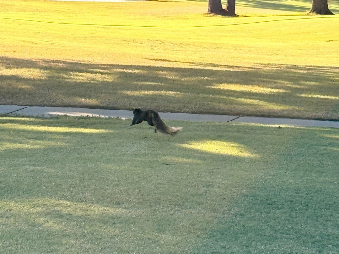 Lakewood Golf Club-Point Clear必去景点