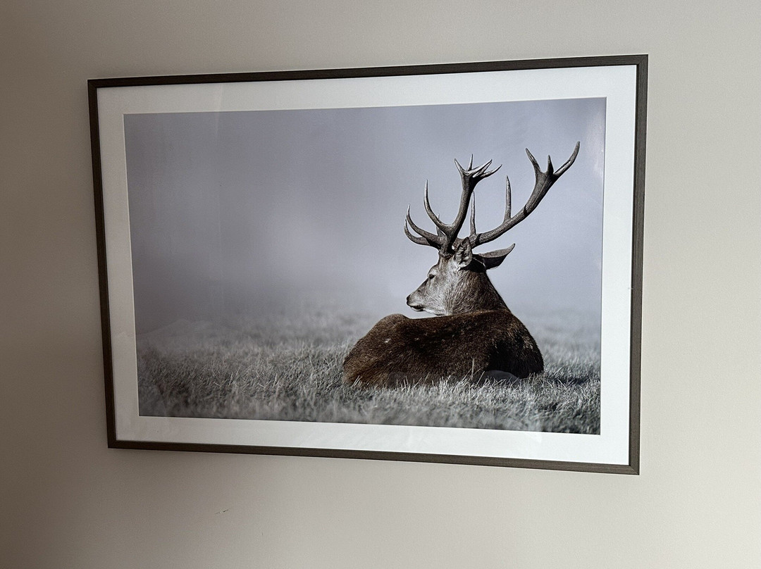 Waldhotel Kreuztanne主图