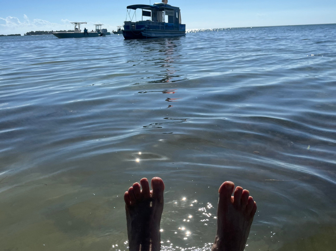 Sugarloaf Pontoon Adventure Tours-Sugarloaf Key必去景点