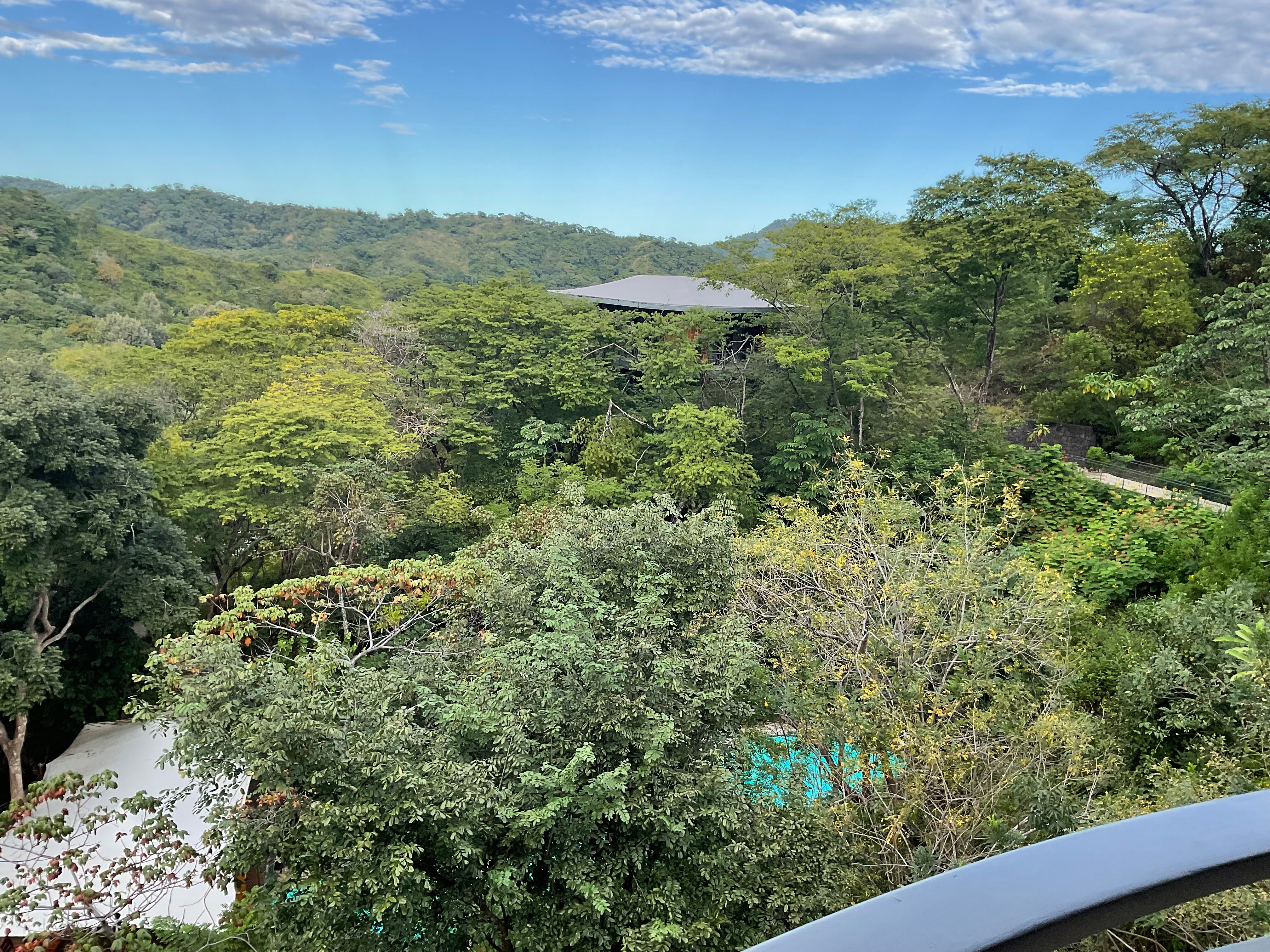 Suitree Experience Hotel Costa Rica-浴室