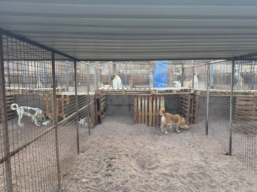 Al Rabee Society For Nature And Animal Protection-亚喀巴必去景点