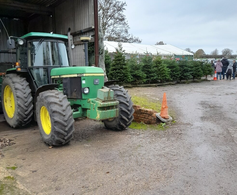The Magic of Christmas-Walkern必去景点