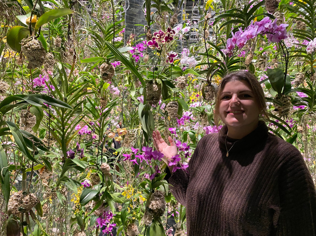 teamLab Planets TOKYO-Toyosu必去景点