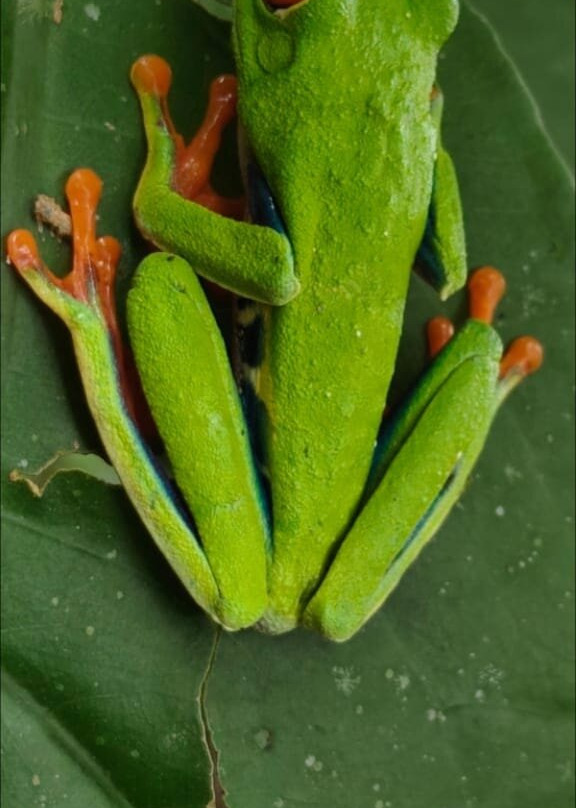 Matt's Fishing & Tours-萨迪纳尔必去景点