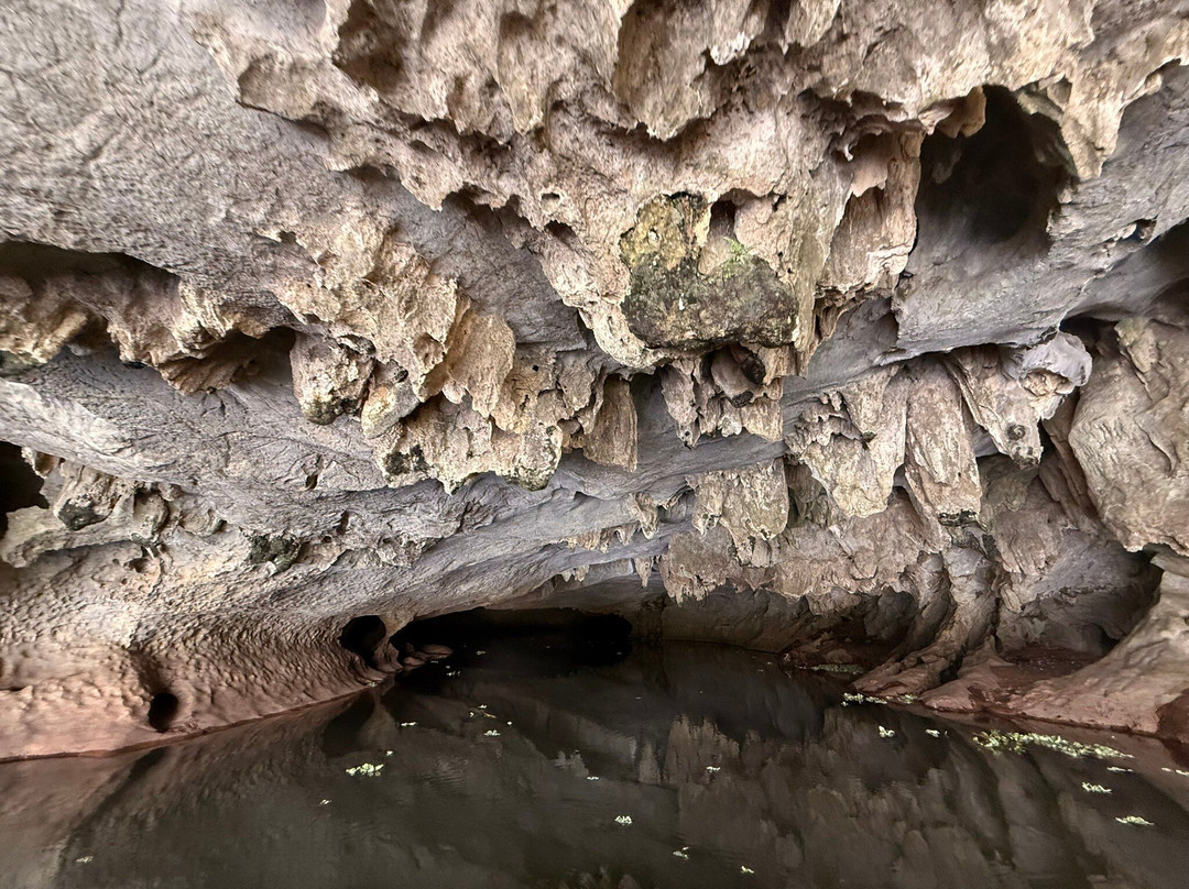 Van Long Nature Reserve-宁平必去景点