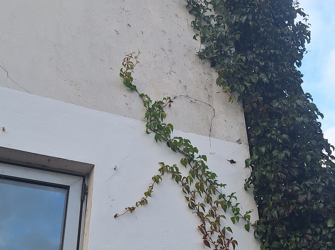 Beachcombers Hotel主图