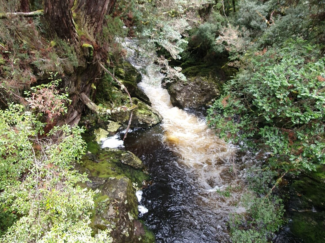 Enchanted Walk-摇篮山圣克莱尔湖国家公园必去景点