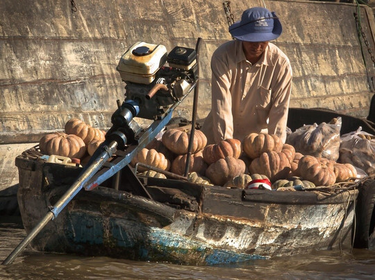 eXplora expedition-斯泰伦博斯必去景点