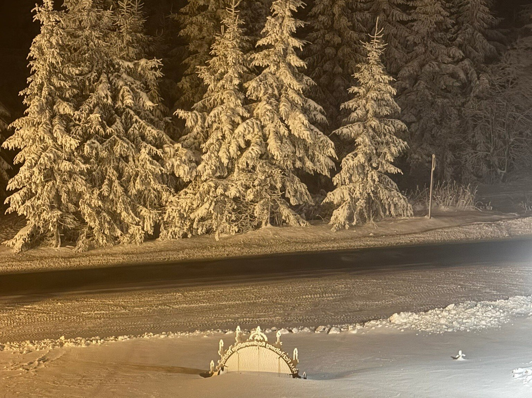 Relaxhotel Sachsenbaude主图