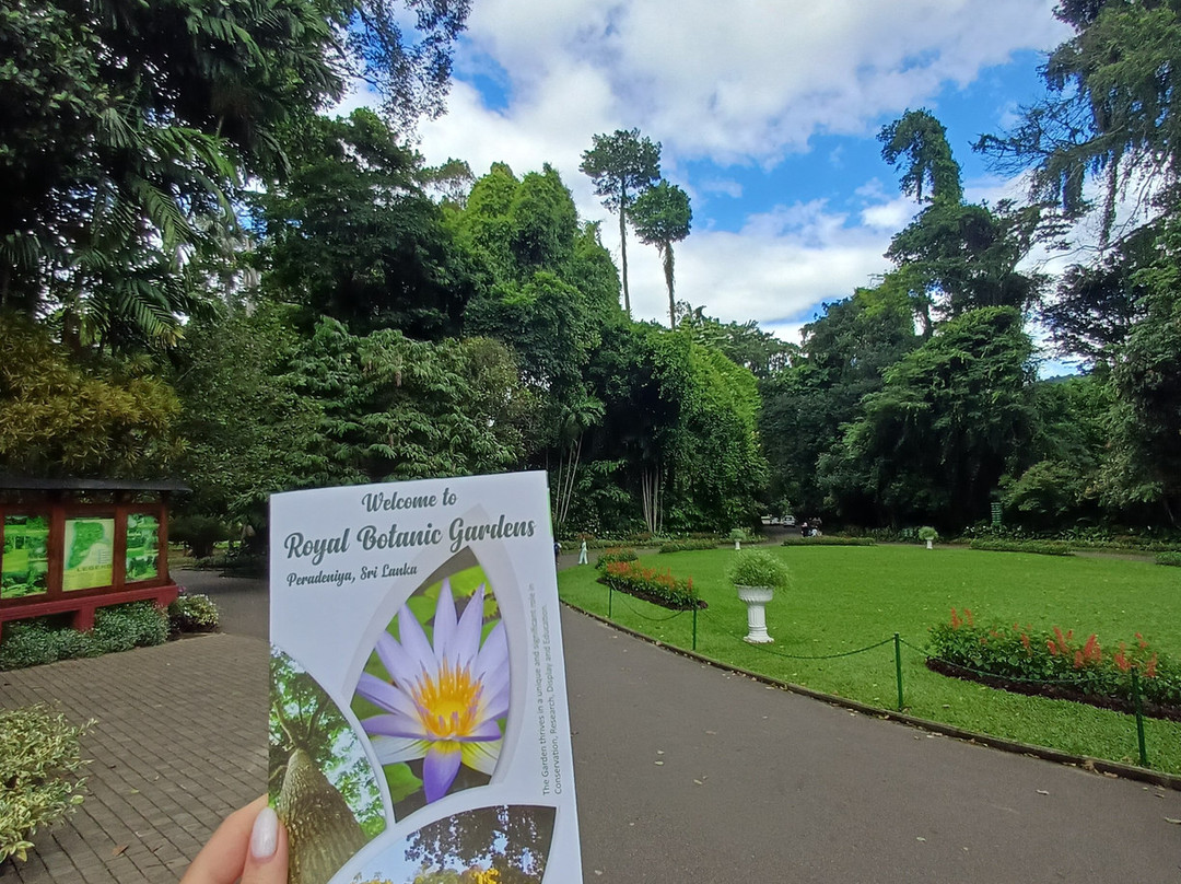 V Travel Sri-Lanka Excursions-科斯戈德必去景点