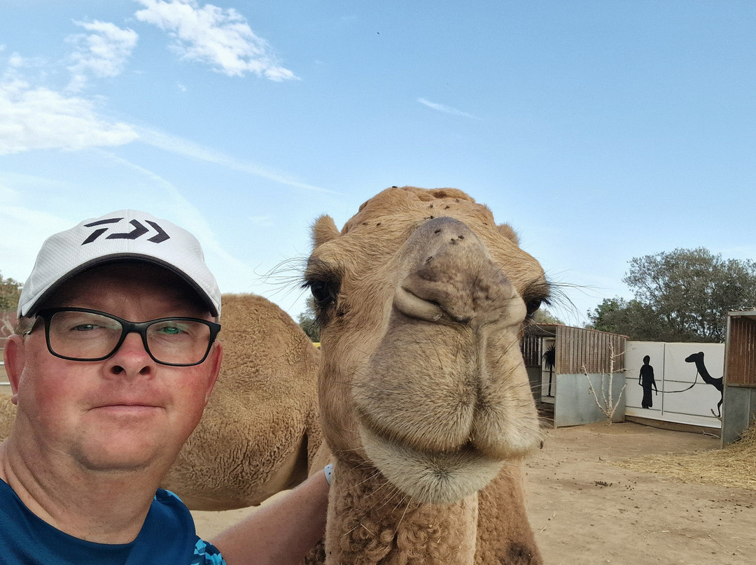 Camel Park-玛佐托斯必去景点