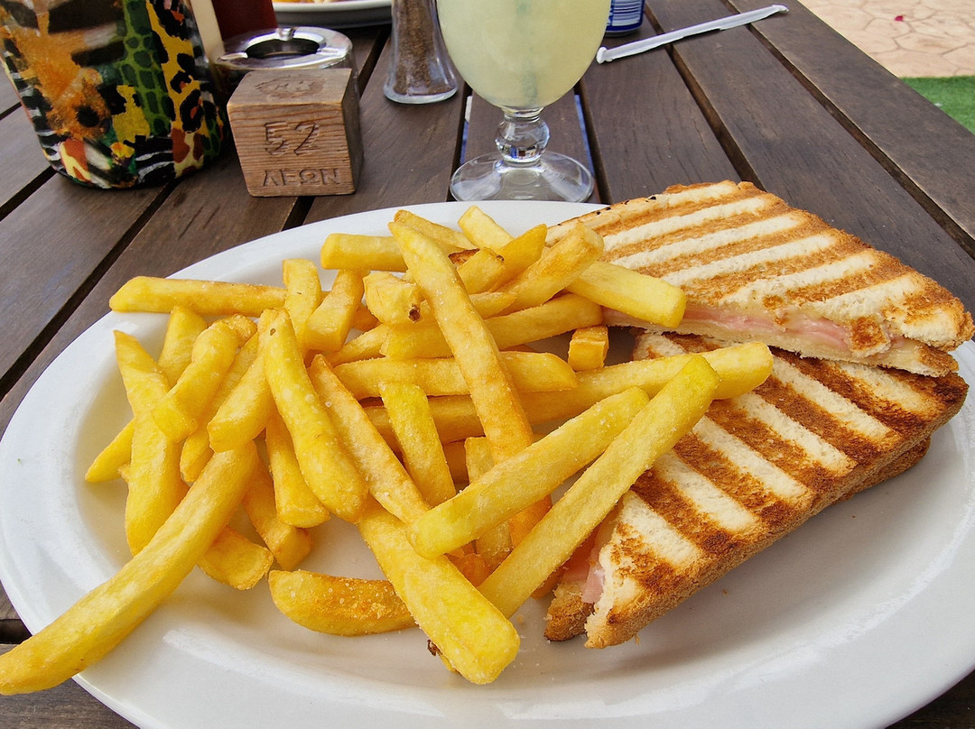 Camel Park-玛佐托斯必去景点