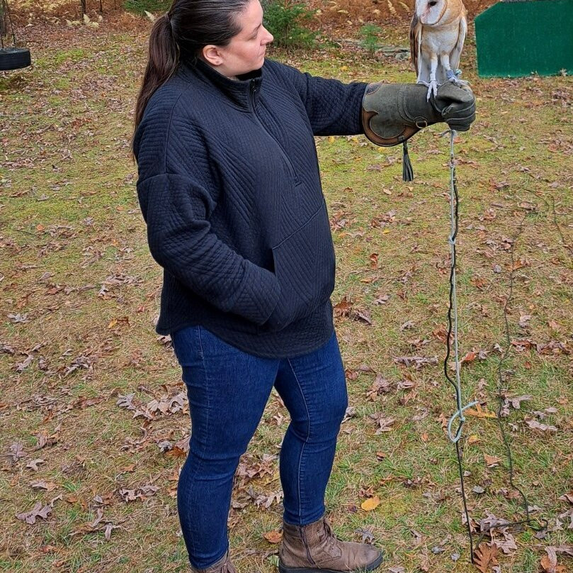 Masters Of The Skies-霍利必去景点