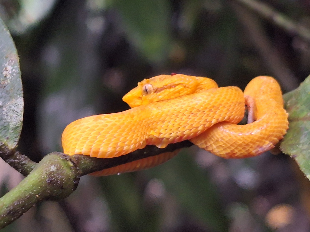 Sweet Costa Rica-塔马林多必去景点