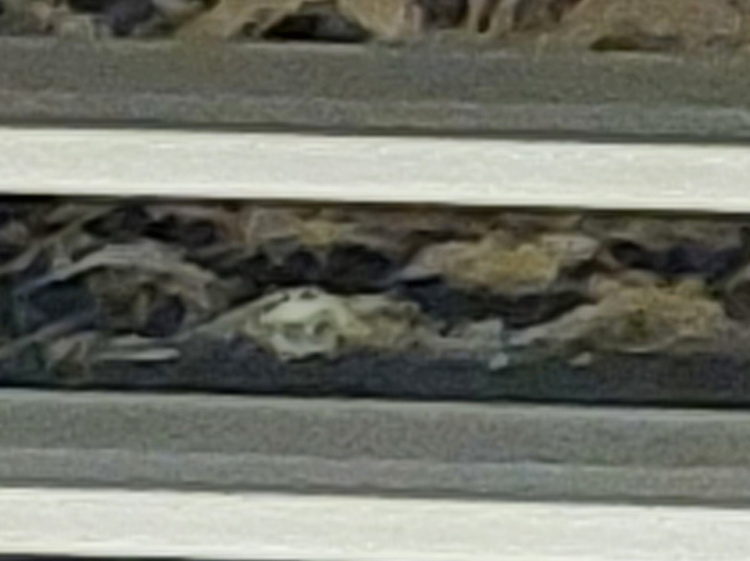 Quality Inn & Suites主图