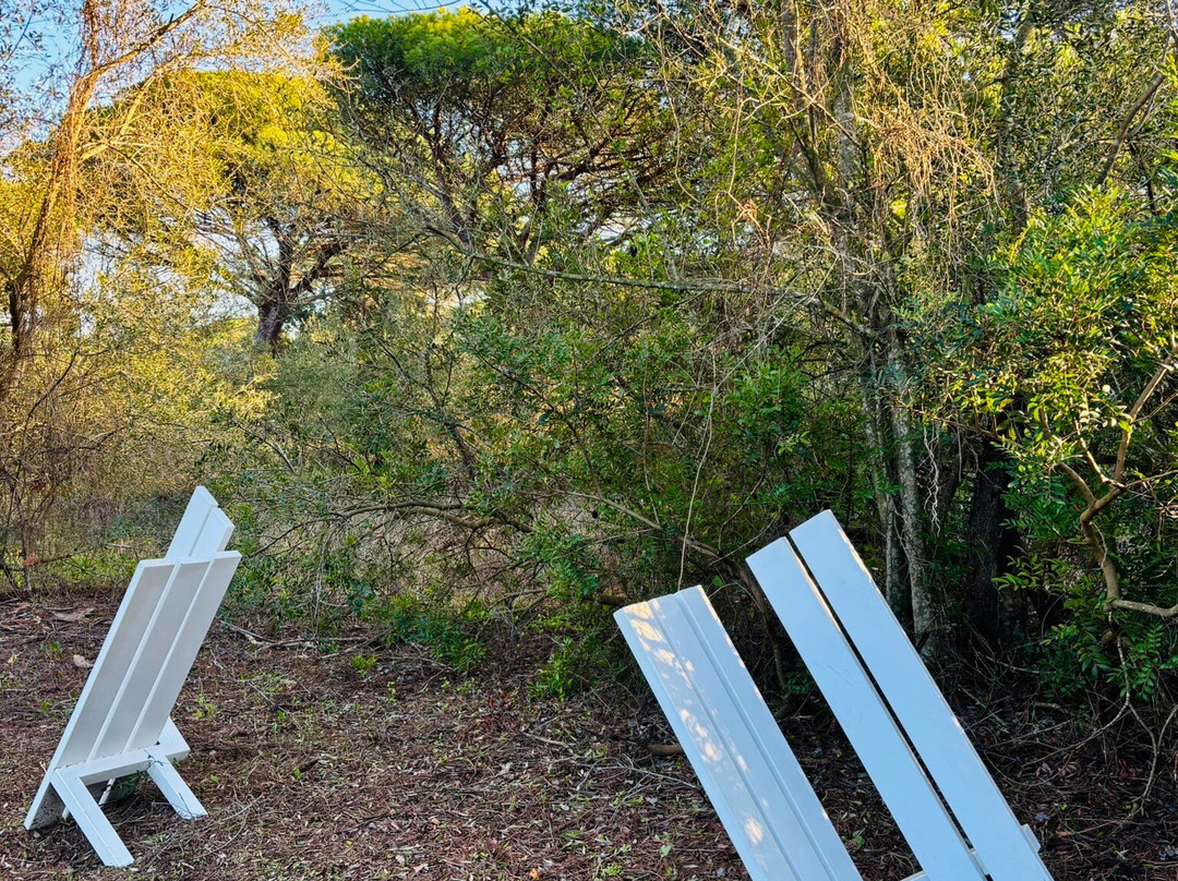 Fundación Montenmedio Contemporánea-贝赫尔－德拉弗龙特拉必去景点