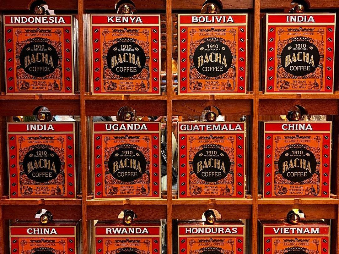 Dar El Bacha - Musee des Confluences-马拉喀什必去景点