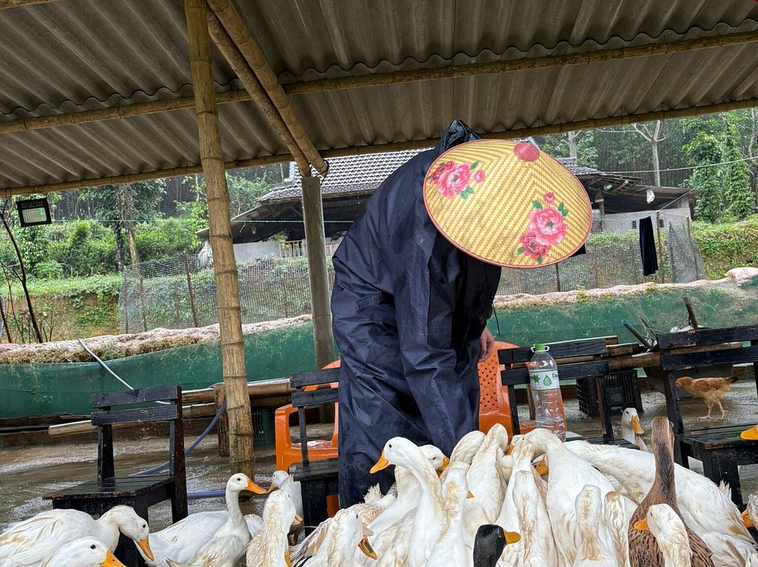 Dong Du Village Lakeside Farm Stay-Nghia Thuan必去景点