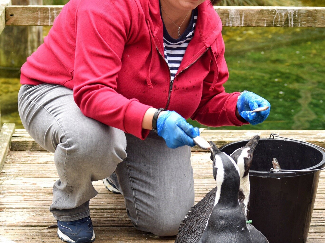 Birdworld-法纳姆必去景点