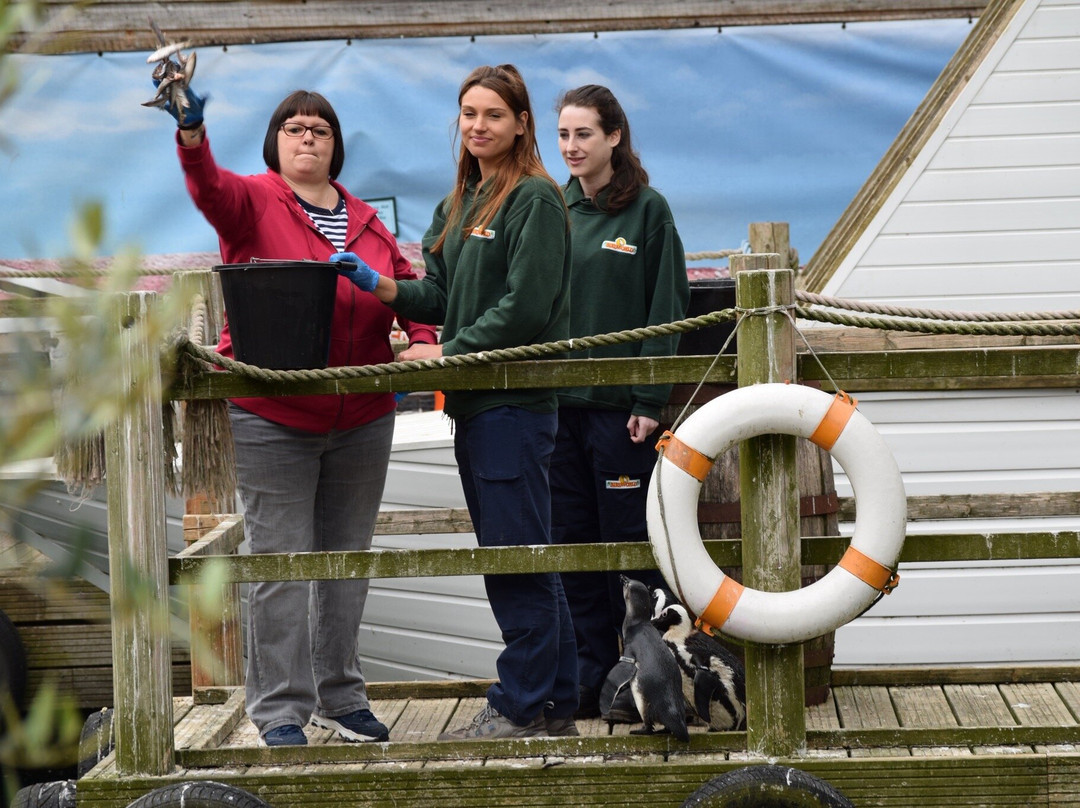 Birdworld-法纳姆必去景点