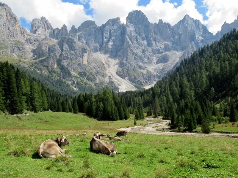 Alta Via delle Dolomiti n. 2-Feltre必去景点